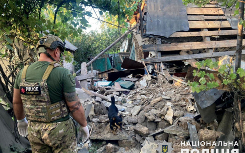 Снаряди потрапили в будинок - у Курахівці загинула жінка, ще двох людей поранено