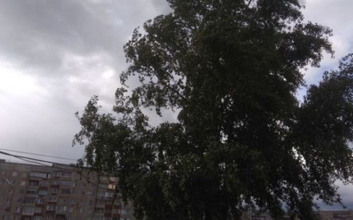 Для борьбы с последствиями штормового ветра в Мариуполе создан специальный штаб