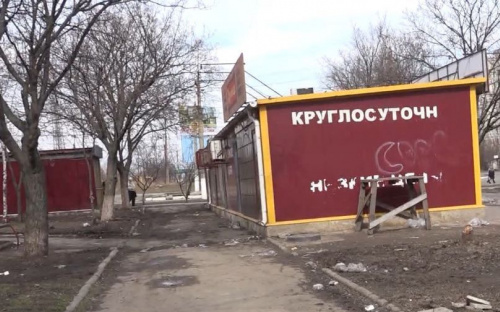 В Мариуполе ради установки киоска срубили 40-летнюю ель (ФОТО)
