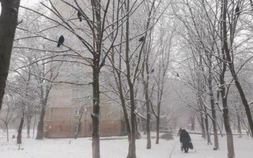 Мариуполь окутало снегом, а горожане готовятся к Новому году (ФОТОФАКТ)