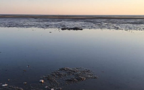 Мариупольцев поразило оголенное морское дно возле пляжа