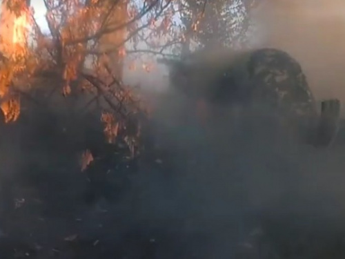 Под Мариуполем  погибло 11 бойцов, вышедших из «Правого сектора» (ВИДЕО)