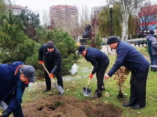 В Мариуполе чиновники высадили саженцы-наследники дуба Шевченко (ФОТО)