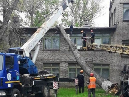 В Мариуполе штормовой ветер повалил на кровлю детского сада 15-метровое дерево (ФОТО)