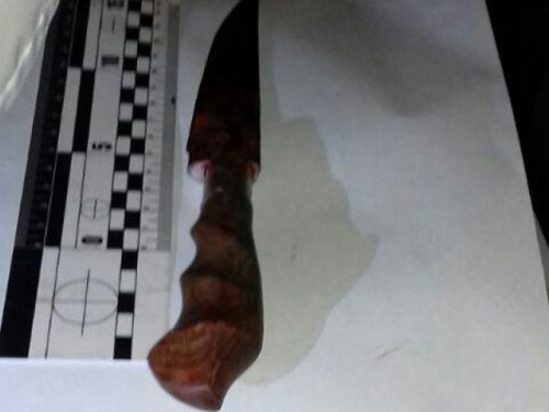 Нанесла 14 ножевых ранений и сбежала. В Мариуполе поймали подозреваемую в убийстве (ФОТО)