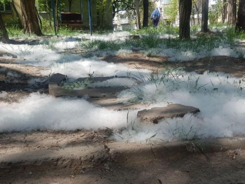 Мариуполь укрывают пушистые «сугробы» (ФОТО+ВИДЕО)