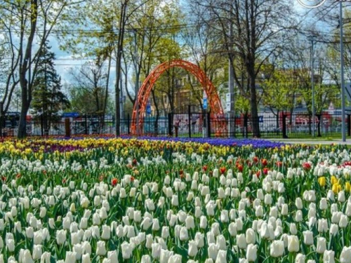 В мариупольском парке высаживают флаг Украины из виол (ФОТО)