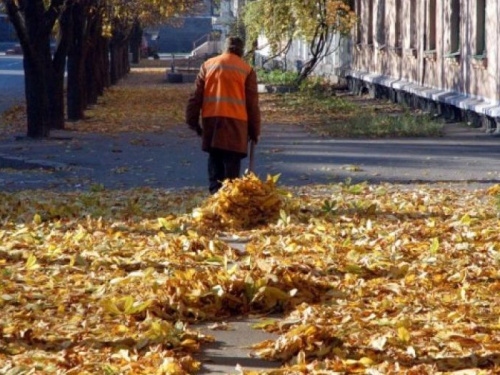 Мариупольцев призывают не выбрасывать листву в мусорные баки