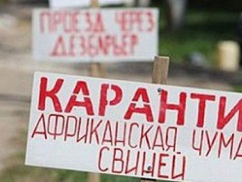 В Донецкой области новая вспышка африканской чумы свиней
