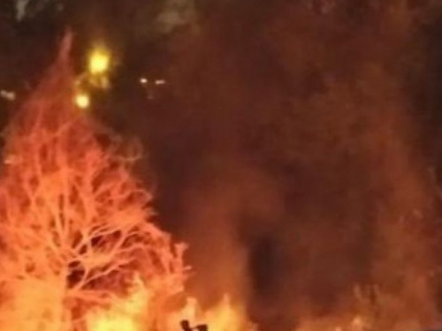 В мариупольском парке Гурова ночью выгорело 300 квадратных метров территории (ФОТО+ВИДЕО)