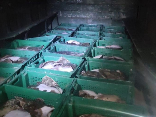 Под Мариуполем браконьеры незаконно выловили более 850 кг рыбы (ФОТО+ВИДЕО)
