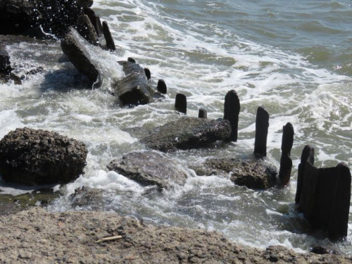 В морской воде на пляжах Мариуполя обнаружена кишечная палочка