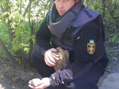 В Мариуполе за день до выборов нашли гранату (ФОТО)