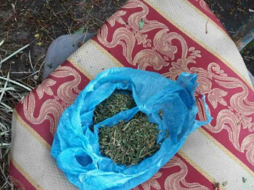Спецоперация полиции. В Мариуполе ликвидировали две наркоплантации (ФОТО)