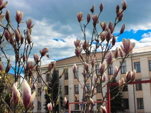 Карантинная весна: мариупольцам с высоты птичьего полета показали, как цветет город (ФОТОФАКТ)