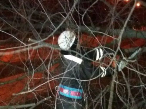 Шторм в Мариуполе: деревья рушились на дома и ограды, ливень топил дворы (ФОТО)