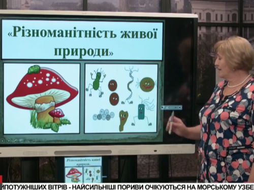 Онлайн-уроки для школьников Мариуполя (ПРЯМАЯ ТРАНСЛЯЦИЯ 17.04)