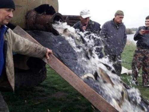Водоемы Донетчины пополнились более 138 тоннами рыбы