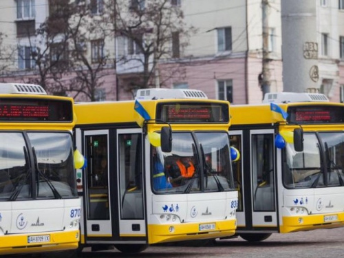 Бесплатные автобусы помогут добраться до масштабного мариупольского фестиваля