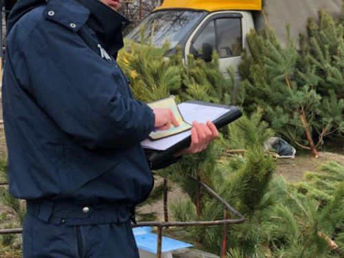 В Мариуполе незаконно торговали главным новогодним атрибутом (ФОТО)