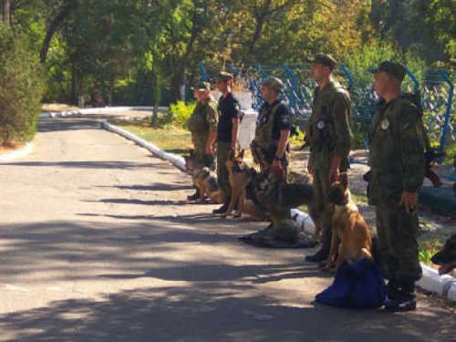 Кинологический центр полиции в Мариуполе пополнился 9 «новобранцами» (ФОТО)
