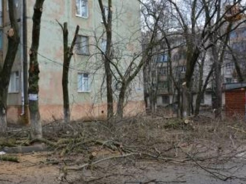 Мариупольцы могут понести наказание за самовольное уничтожение деревьев