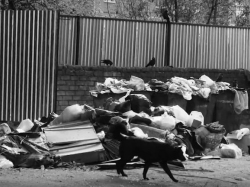 Мариупольцы сняли социальный экоролик о проблеме мусора на улицах города (ВИДЕО)