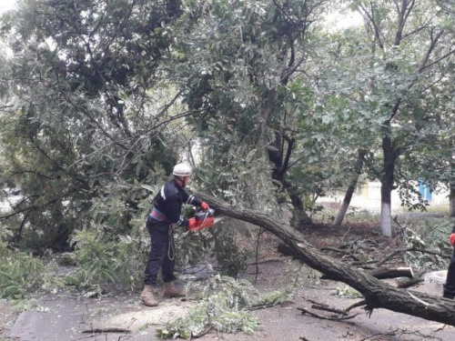 На Мариуполь обрушилась непогода: повалены деревья, обесточены десятки улиц (СПИСОК)