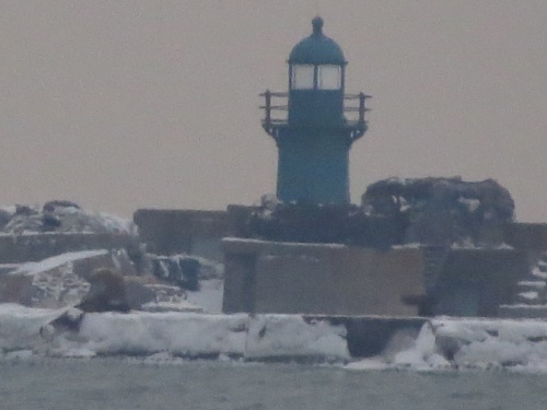 Море у Мариуполя освободилось от ледового плена (ФОТОФАКТ)