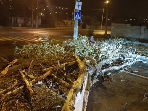 В Мариуполе шторм с порывами ветра до 24 метров в секунду