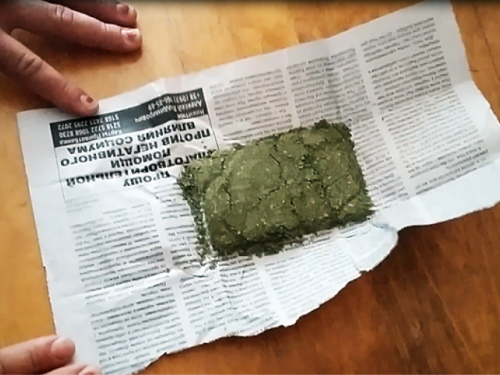 На Донетчине мужчина принес на территорию школы коноплю
