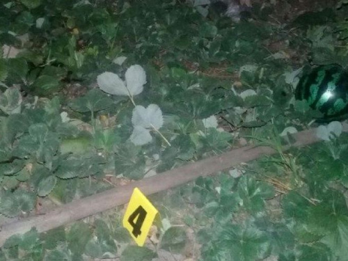 Мариупольцу, который ударил жену лопатой на глазах у ребенка, грозит 8 лет тюрьмы (ФОТО)