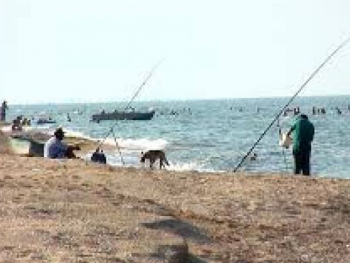 Рыбаков Азовского моря призывают вернуться в порты