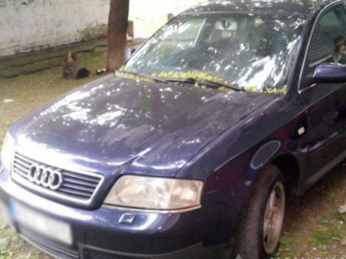 В Донецкой области, включая Мариуполь, угнали более 180 авто. Рецепт защиты (ФОТО)
