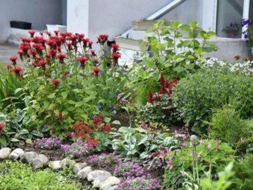 В Мариуполе увеличилось количество благоустроенных дворов (ВИДЕО)