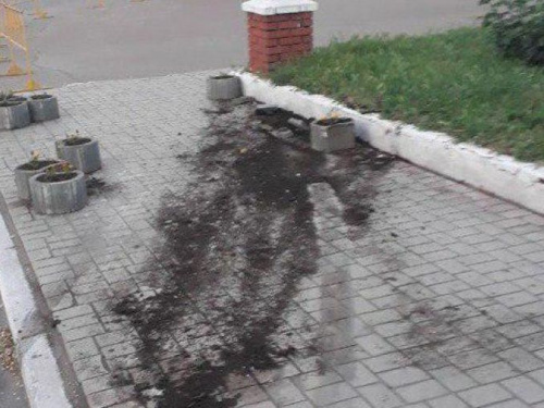 Превысил норму в 10 раз: в Мариуполе пьяный водитель влетел в цветочную клумбу (ФОТО)