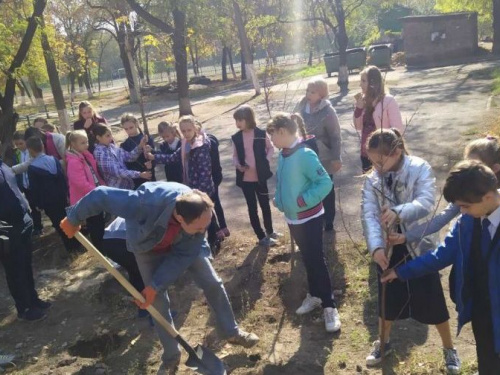 Вместе с «Зеленым центром Метинвест» мариупольские школьники высаживают деревья