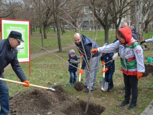 В честь 85-летия Донецкой области в Мариуполе образовали «Алею єднання»