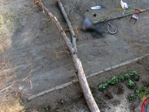 В Донецкой области на велосипедиста упало дерево: парень погиб на месте