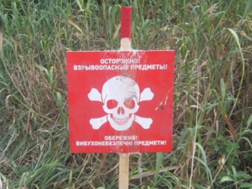 На Донетчине пиротехники уничтожили 12 взрывоопасных предметов