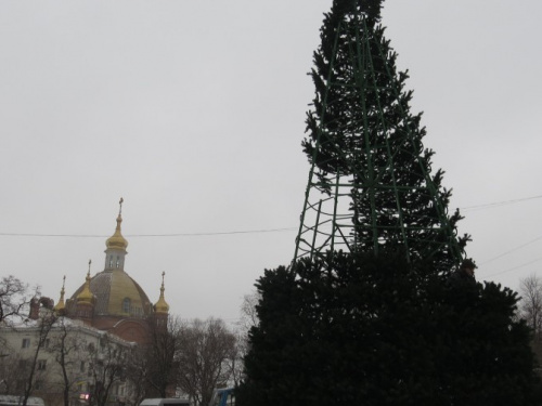 В День святого Николая в Мариуполе установили главную городскую елку (ФОТОФАКТ)