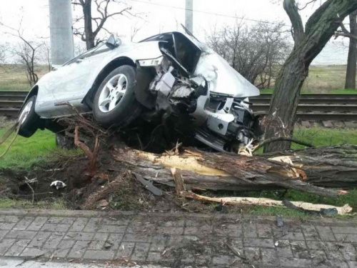 В Приморском районе Мариуполя автомобиль протаранил дерево (ФОТО)