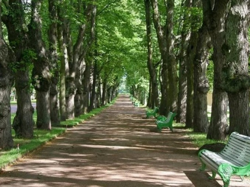 В центре Мариуполя местные жители облагородили парковую аллею (ФОТО)