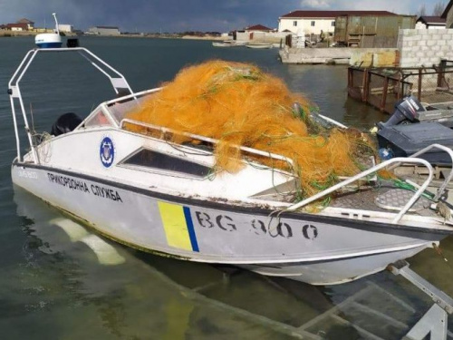 В Азовском море браконьеры наловили рыбы на сумму, свыше полмиллиона гривен