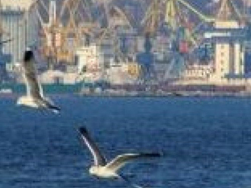 ТОП-новости за неделю от MRPL.CITY: реконструкция центра Мариуполя, закрытие супермаркета и таинственные находки