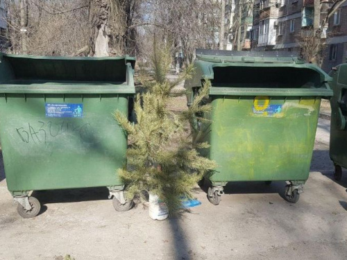 В Мариуполе сдался «последний герой» и выбросил елку (ФОТОФАКТ)