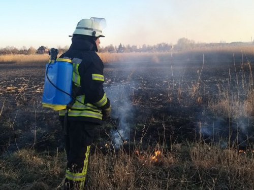 В Донецкой области за день вспыхнуло более 20 пожаров (ФОТО)