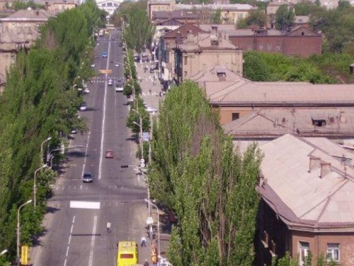 ТОП-новости Мариуполя за неделю от MRPL.CITY: гигантская оса, драка в маршрутке и соблазняющие газоны