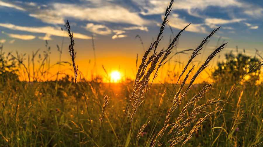 В Україну суне нестійка та спекотна маса з Балканів: якою буде погода 24-30 липня