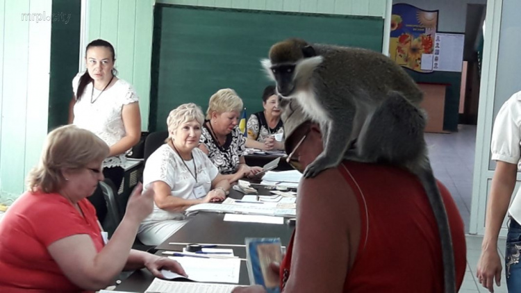 Под Мариуполем избиратель пришел голосовать с обезьяной (ФОТО)